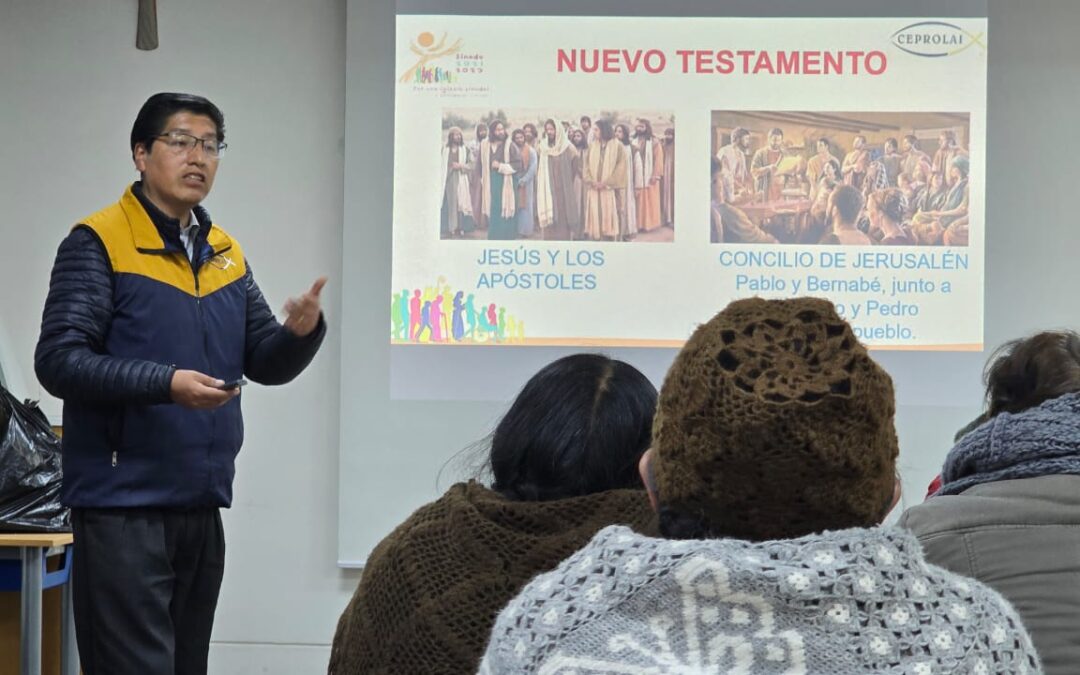 El Rol del laico en la Iglesia sinodal