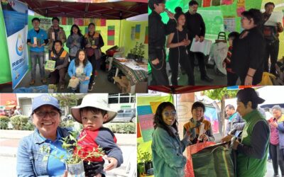 El reciclaje un respiro para el planeta