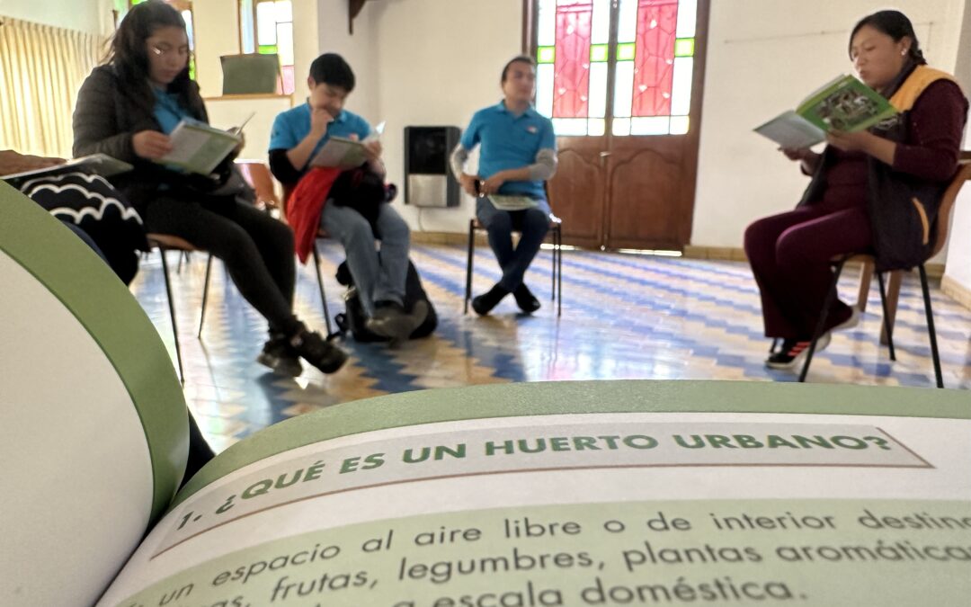 Laudato Si y Huertos Urbanos