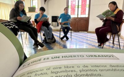 Laudato Si y Huertos Urbanos